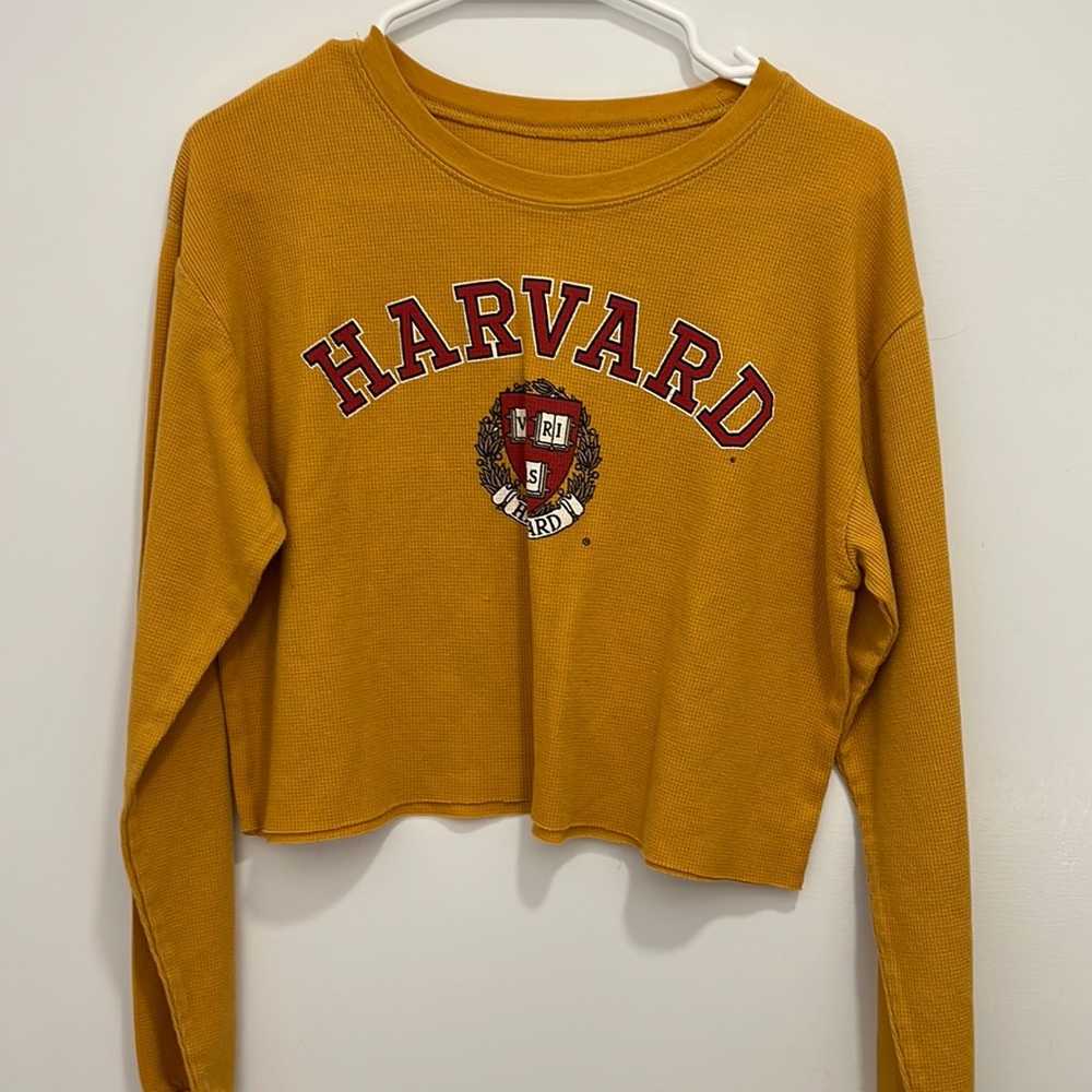 Harvard yellow crop top, medium